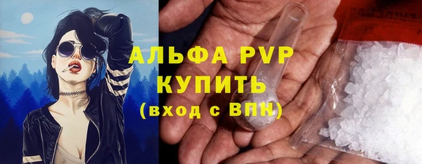 прущие грибы Белокуриха