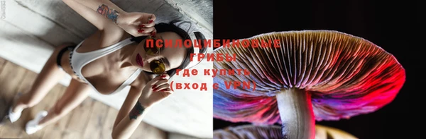 spice Богданович