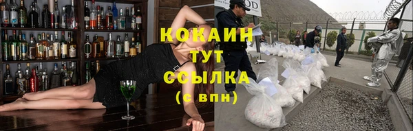 сатива Бугульма