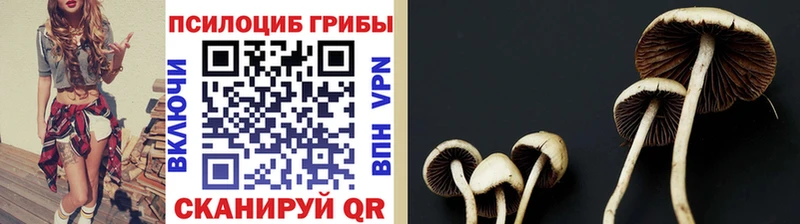 Галлюциногенные грибы прущие грибы  omg сайт  Баксан 